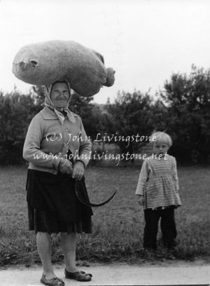 Near Lake Balaton, Hungary, 1967